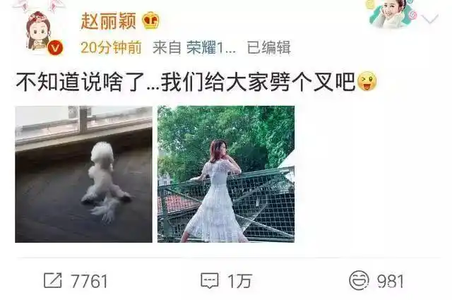 娱乐圈预言家 应采儿预言 莫小棋星座预测_娱乐圈的预言家